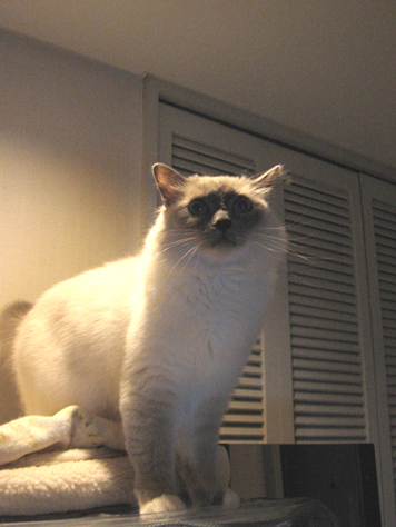 d0140838_0422453.jpg