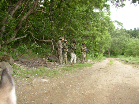 a0044046_1244321.jpg