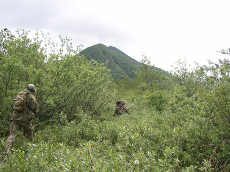 a0044046_129151.jpg