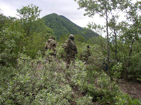 a0044046_1304379.jpg