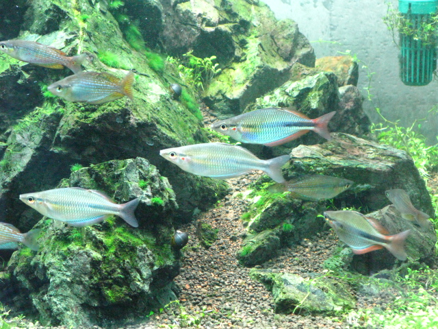 f0198950_2137539.jpg