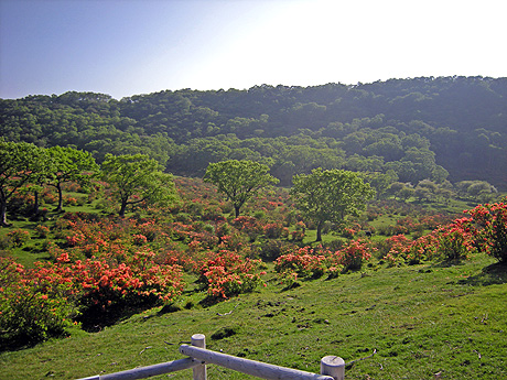 a0001354_21345013.jpg