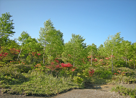 a0001354_21473338.jpg