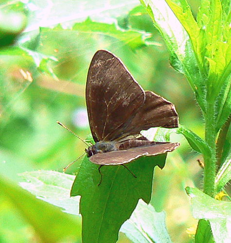 d0091754_0503685.jpg