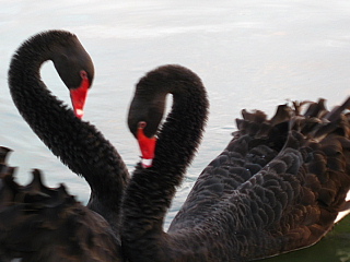 a0021558_21275273.jpg