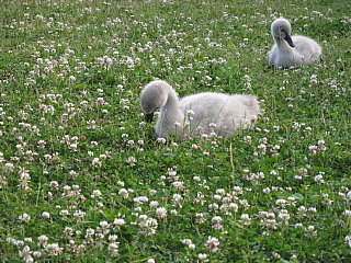 a0021558_2132137.jpg