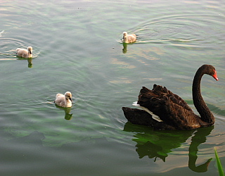 a0021558_21345017.jpg