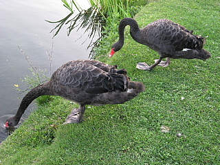 a0021558_21454154.jpg