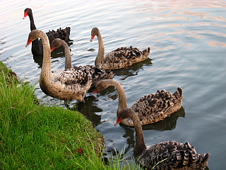 a0021558_2152438.jpg
