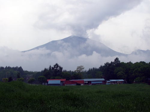 e0088260_1301726.jpg