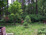 e0088260_1374275.jpg