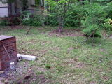 e0088260_1384731.jpg