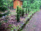 e0088260_149275.jpg