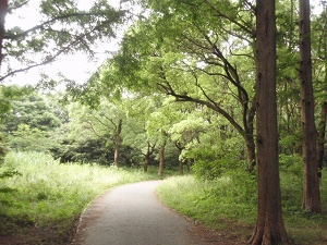 c0135363_2161332.jpg