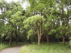 c0135363_2161859.jpg