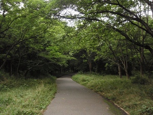 c0135363_2162518.jpg