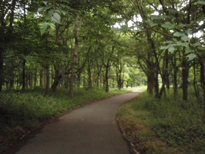 c0135363_2163050.jpg