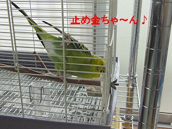 f0196665_0163695.jpg