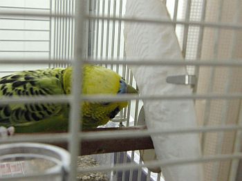 f0196665_084274.jpg