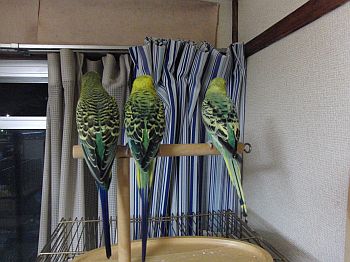 f0196665_23214193.jpg