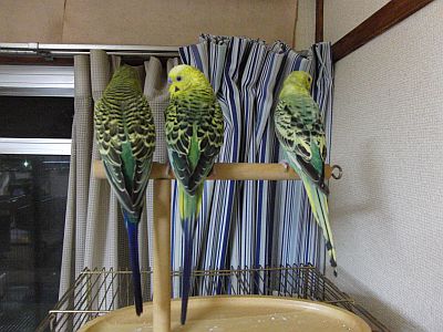 f0196665_2324362.jpg