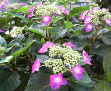 b0084368_19445060.jpg