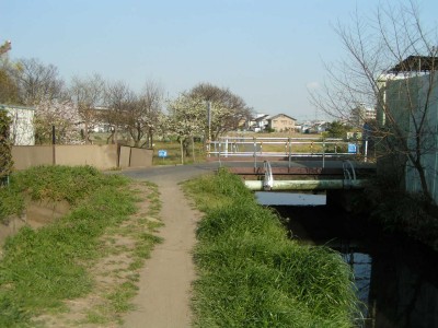 c0112172_1274478.jpg