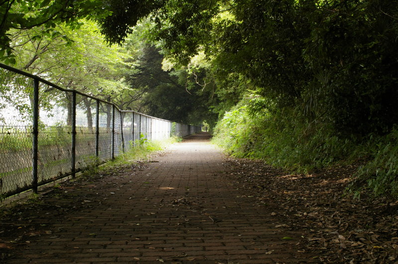 b0120979_18492254.jpg