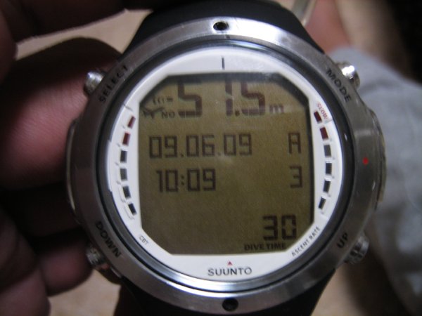 b0026380_21352399.jpg