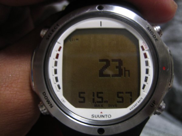 b0026380_21354899.jpg