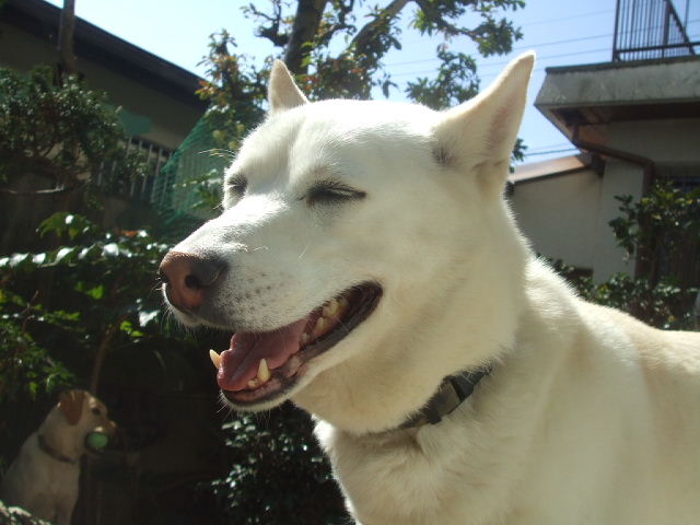 f0005081_20583717.jpg