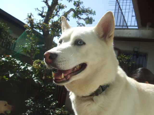 f0005081_206153.jpg