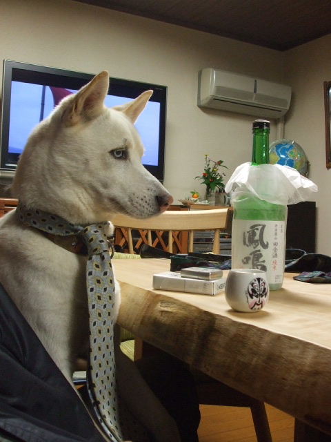 f0005081_210794.jpg