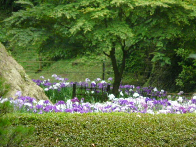 e0145782_18303194.jpg