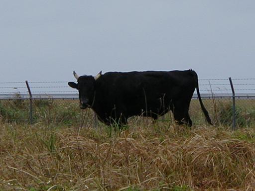 c0153583_22171977.jpg