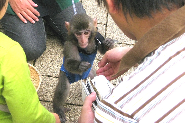 f0164989_00967.jpg