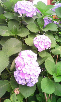 c0103691_22553376.jpg