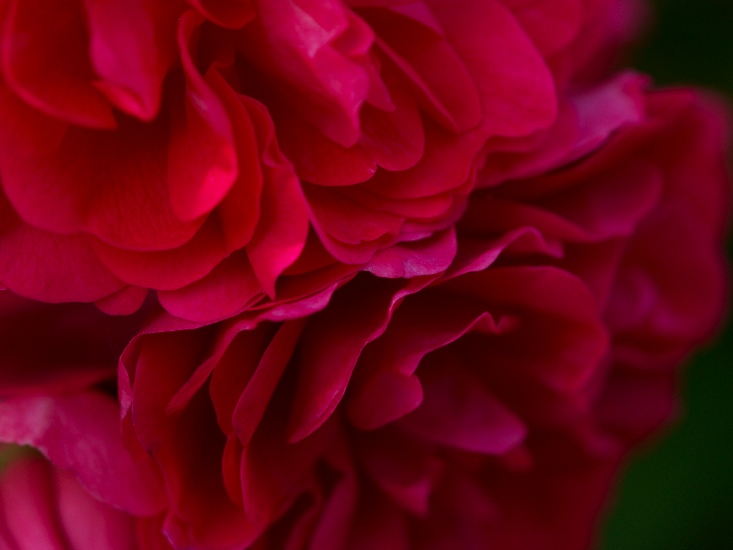 c0136092_22413081.jpg