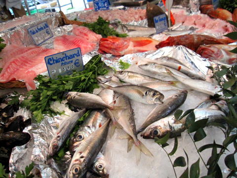 c0090198_36463.jpg