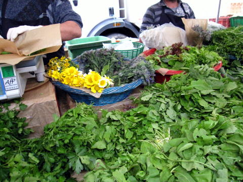 c0090198_375945.jpg