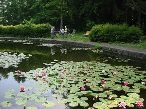 e0122199_23412951.jpg