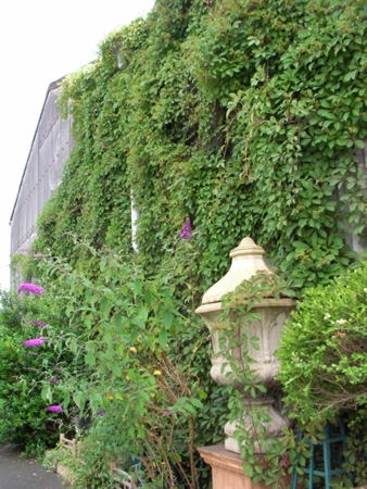 e0135906_2151115.jpg