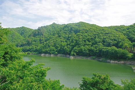 e0087008_1222558.jpg