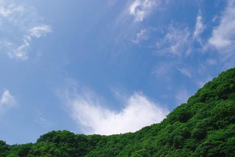 e0087008_1275164.jpg