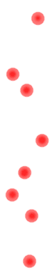 c0106009_175663.gif