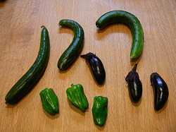 f0006509_158697.jpg
