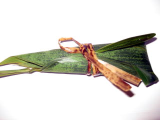b0006210_20545352.jpg