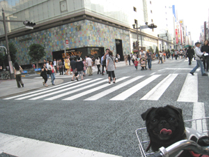 a0096015_10584748.jpg