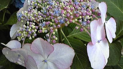 b0145616_1112449.jpg
