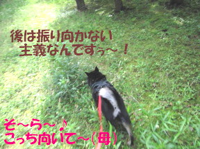 c0185516_1122378.jpg
